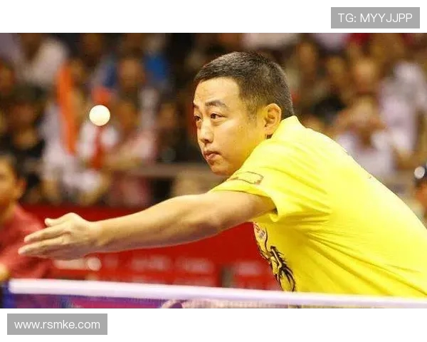 南京乒乓球队区域防守革新之路探索与实践分析