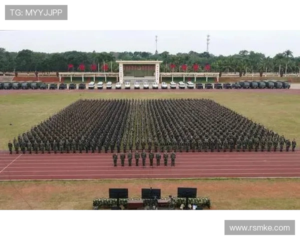 南京极限运动队战术分析与实践探索的深度研究